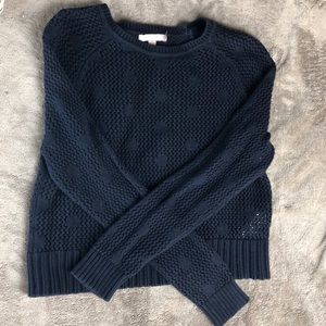 Banana Republic Navy Blue Cropped Sweater